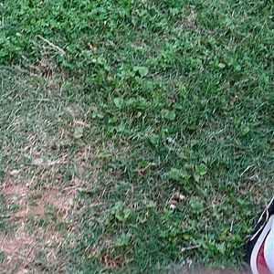 Meet your Posher, Brison