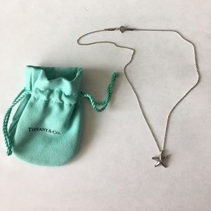 Tiffany & Co. starfish sterling pendant & chain
