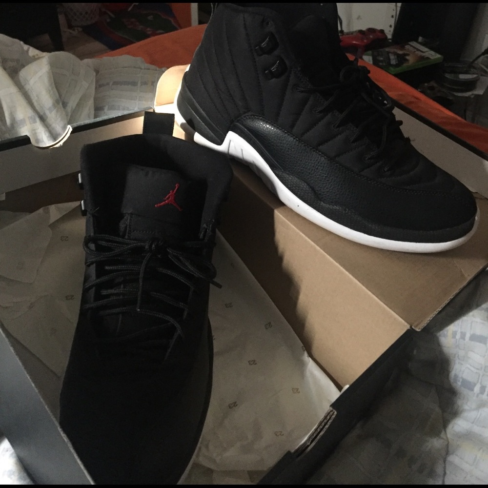 Jordan 12s nylon