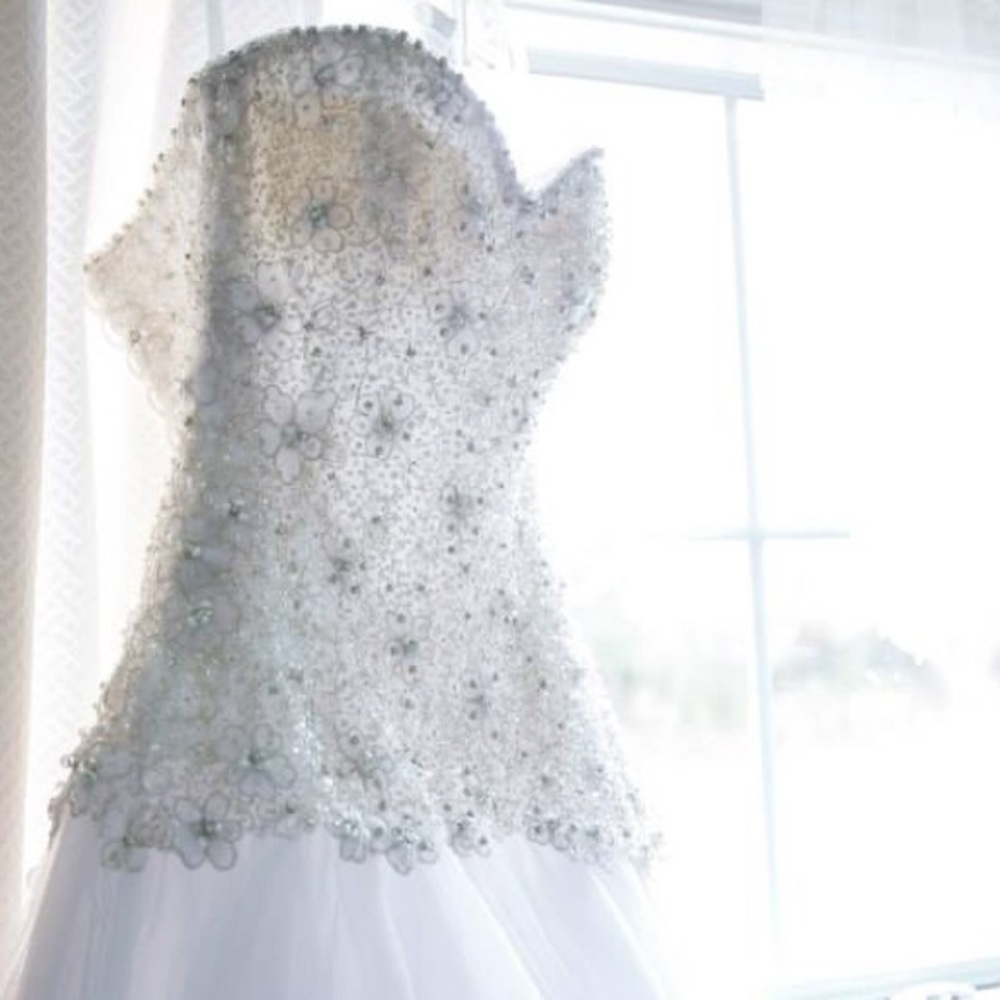 The most beautiful wedding dress in the world.