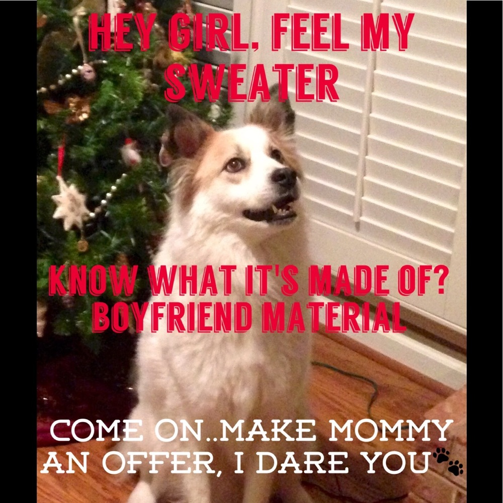 Bandit says" Make mommy an offer, I dare you!"