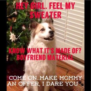 Bandit says" Make mommy an offer, I dare you!"