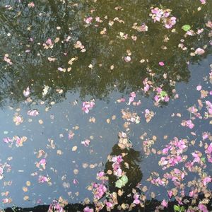 Meet your Posher, Mijung