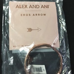 Rose Gold Alex and Ani Arrow Wrap bracelet