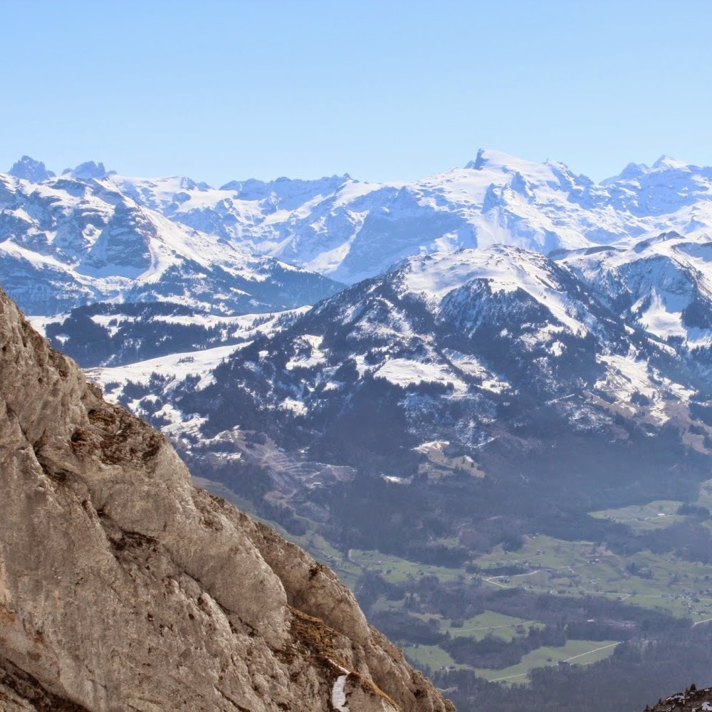 Meet your Posher, Kylie