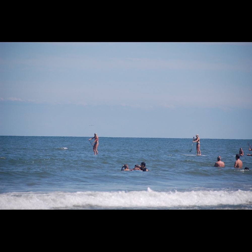 Meet your Posher, Molly