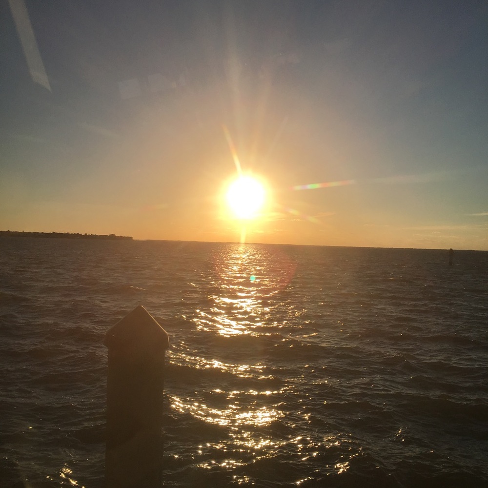 Meet your Posher, Terri