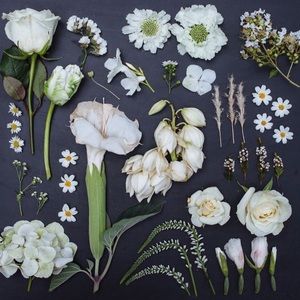 Meet your Posher, Ashlee