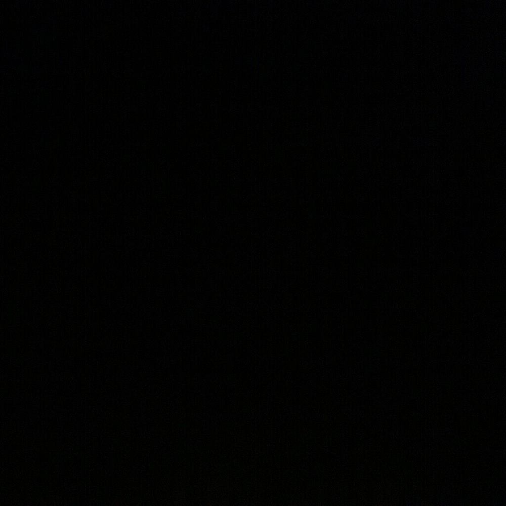 Meet your Posher, Whitt