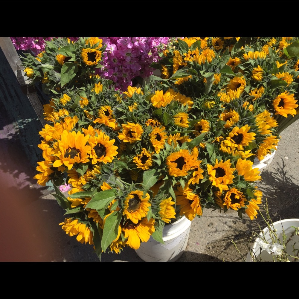 Make me an offer, definitely open for trades