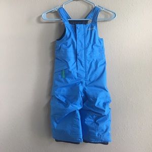 Patagonia Ski/Snow Bibs