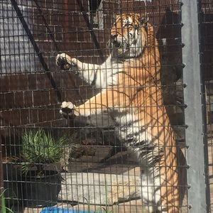 Meet your Posher, Julie