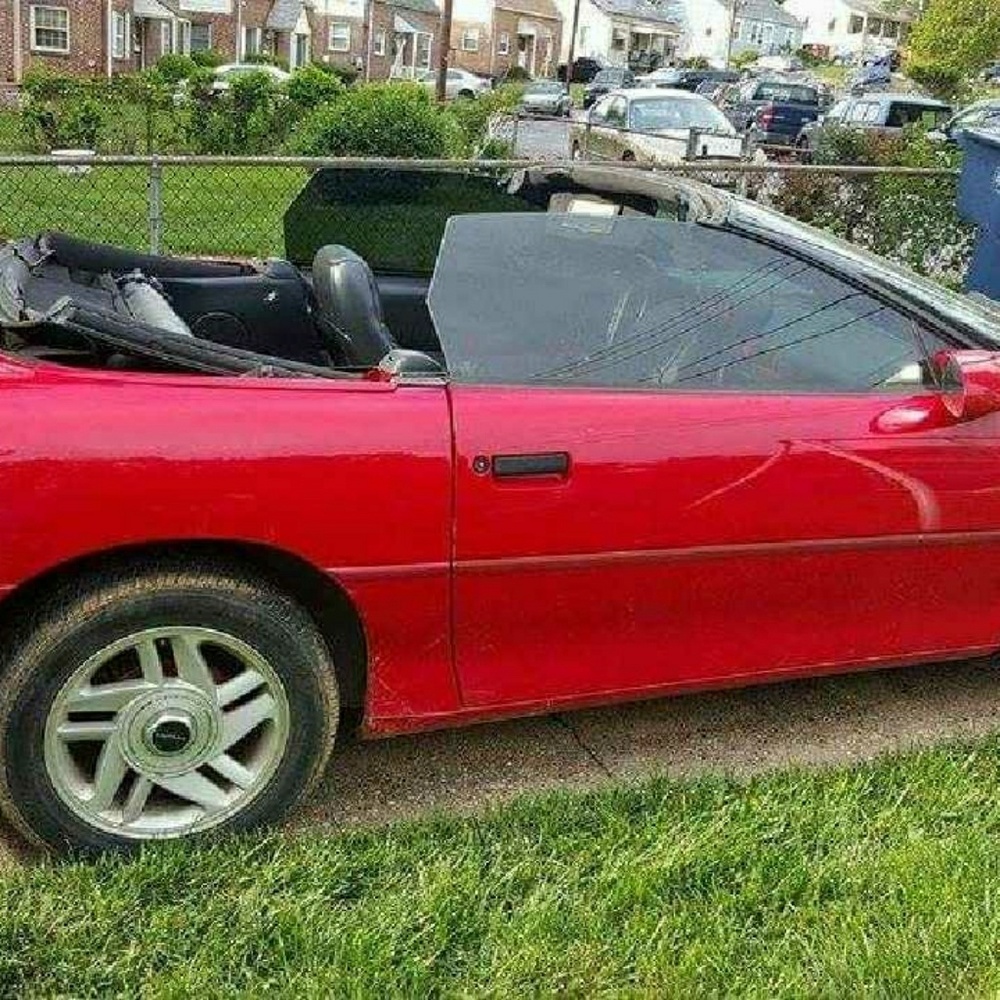 Camaro - Picture 2 of 2