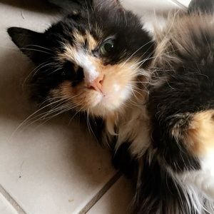 Meet your Posher, Lexie