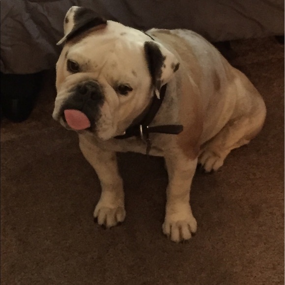 Meet your Posher, Heather - Picture 2 of 2