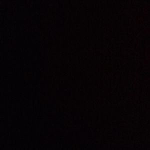 Meet your Posher, Mischa