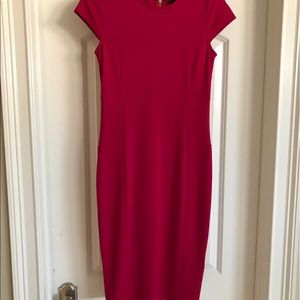 Felicity & Coco dress. Fuscia/Pink. New with tags.