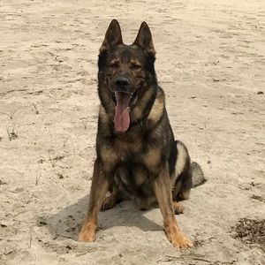 Meet your Posher, Jeff