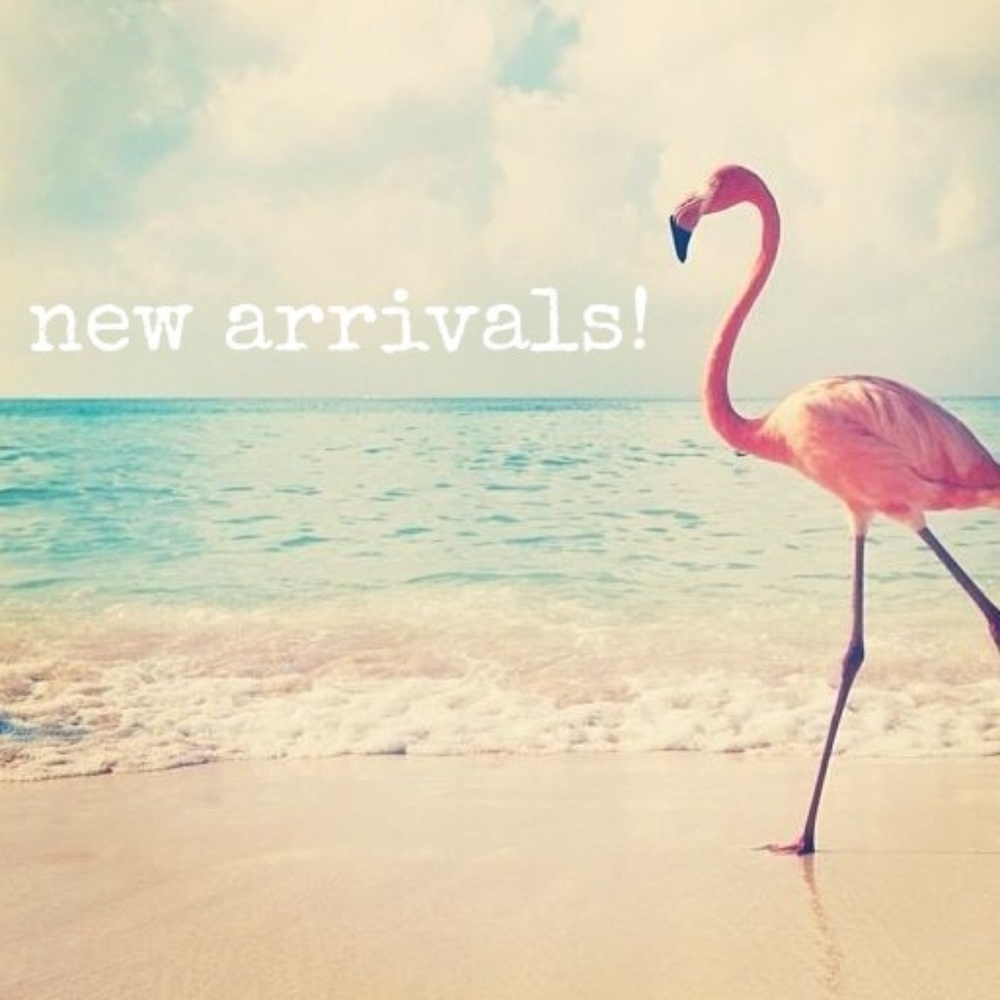 New arrivals!!!!