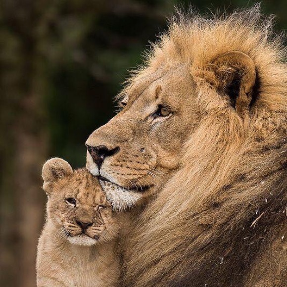 Meet your Posher, Mike - Picture 1 of 1