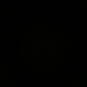 Meet your Posher, Yazmin