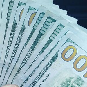 Meet your Posher, Hector