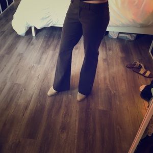 Editor fit dress pants