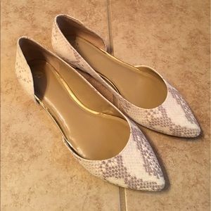 Ann Taylor Flats