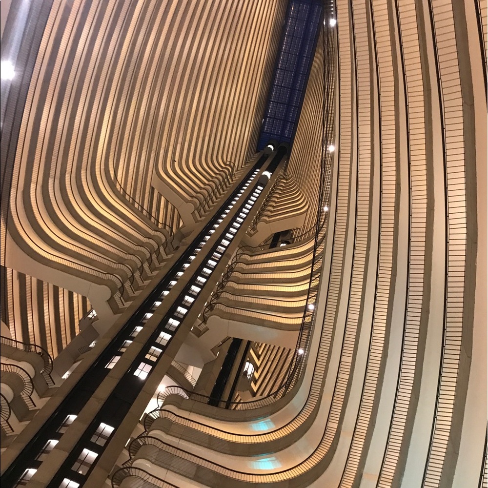 Meet your Posher, Soila