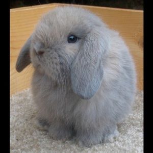 Meet your Posher, Sabrina