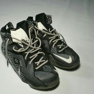 Boys Lebron 12's basketball shoes
