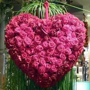 Meet your Posher, Miriam