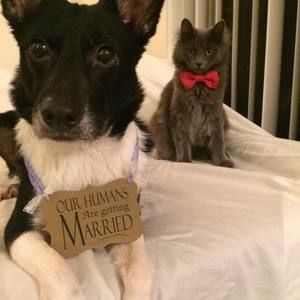 Meet your Posher, Doula kyra