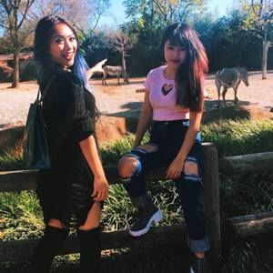 Meet your Posher, Quynh anh