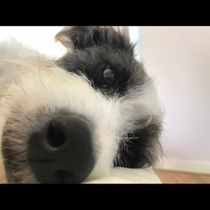 Meet your Posher, Maya