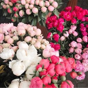 Meet your Posher, Susan