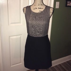 NWT LOFT Dress