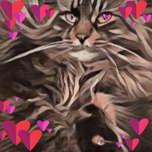 Meet your Posher, Diane