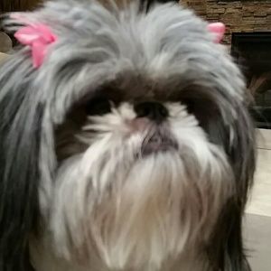 Meet your Posher, Kimberly