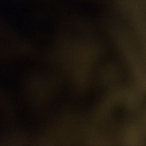 Meet your Posher, Georgia