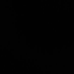 Meet your Posher, Dillon