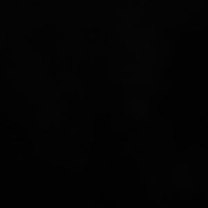 Meet your Posher, Bob