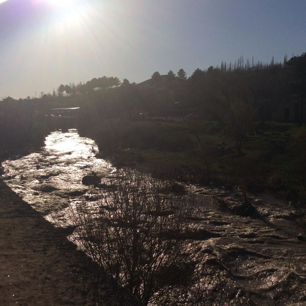 Meet your Posher, Fereshte