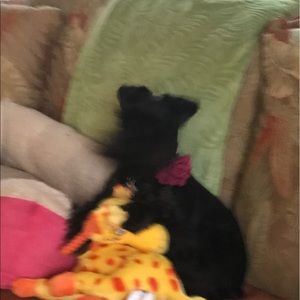 Meet your Posher, Sherry