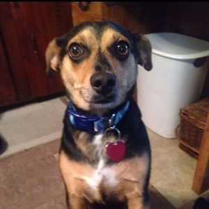 Meet your Posher, Angel