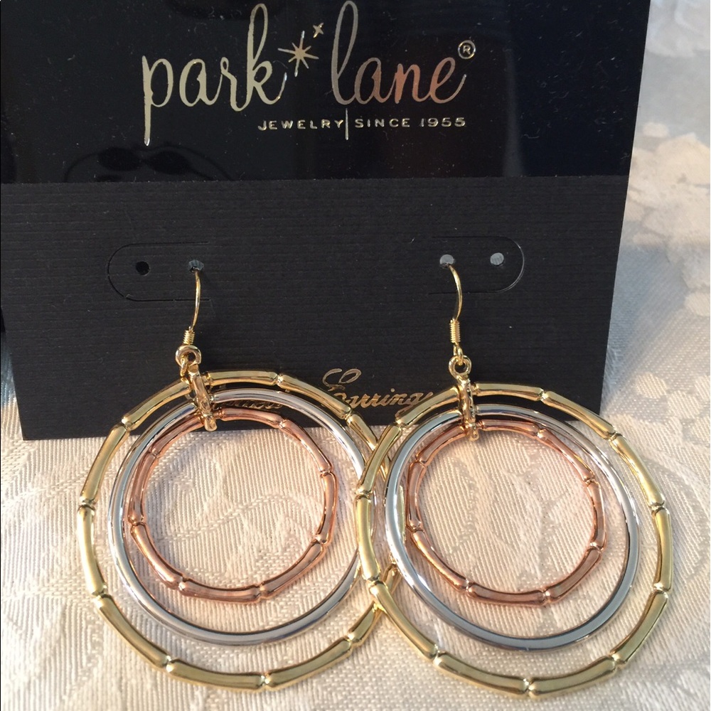 NWOT Bamboo Pierced Earrings