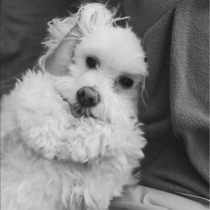 Meet your Posher, Madelynn