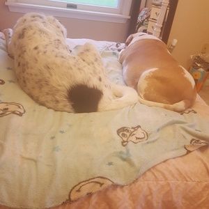 Meet your Posher, Kristina