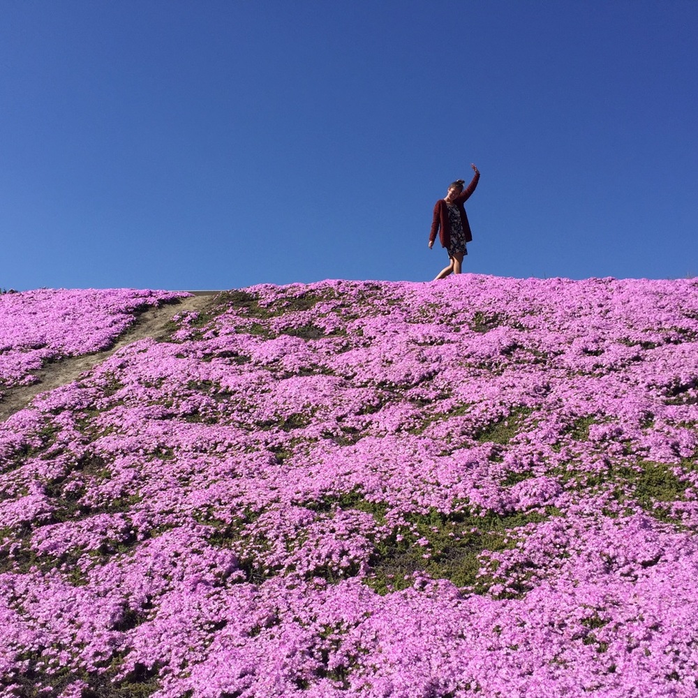 Meet your Posher, Renee