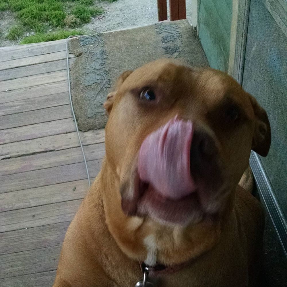 Meet your Posher, Danielle